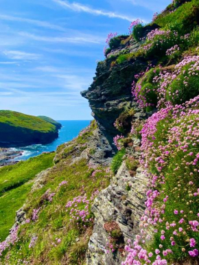 Polrunny Farm Blackberry Cottage - Cornwall bliss in sight of the sea